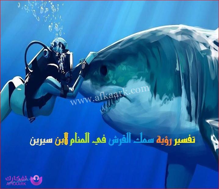 حلم الهروب من سمك القرش