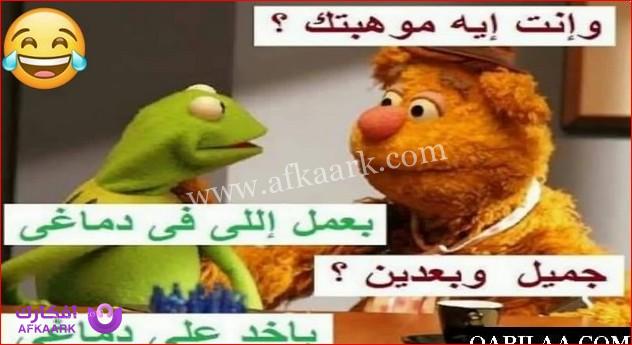 نكت الضفدع الأخضر