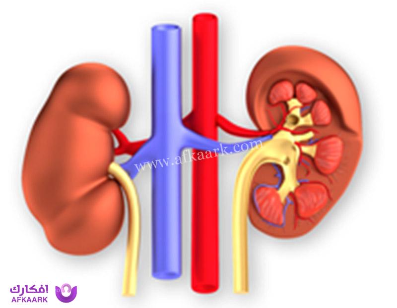 انتفاخ الكلى عند الجنين الذكر