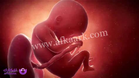 علامات زيادة وزن الجنين في الشهر الثامن وأهم طرق زيادة وزن الجنين 9 علامات زيادة وزن الجنين في الشهر الثامن