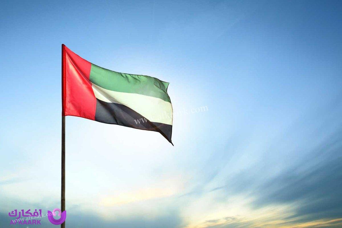 استعلام عن تجديد الهوية الإماراتية 2024 4 استعلام عن تجديد الهوية الإماراتية 2023