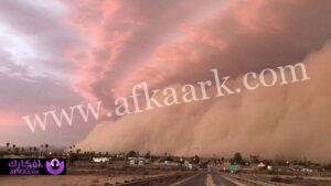 اعرف أكثر عن تفسير حلم العجاج لابن سيرين