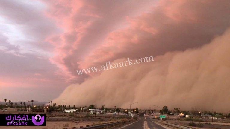 اعرف أكثر عن تفسير حلم العجاج لابن سيرين