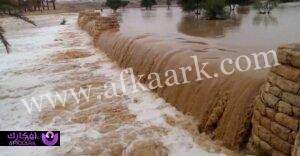 ما هي أهم 10 تأويلات لابن سيرين عن تفسير حلم السيل للمتزوج؟