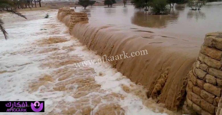 ما هي أهم 10 تأويلات لابن سيرين عن تفسير حلم السيل للمتزوج؟